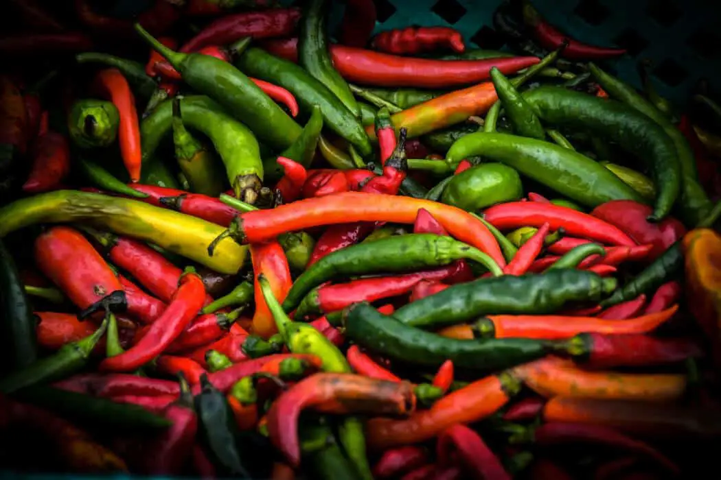 Using Capsaicin for Weight Loss Does It Work? Keto Lifehacker