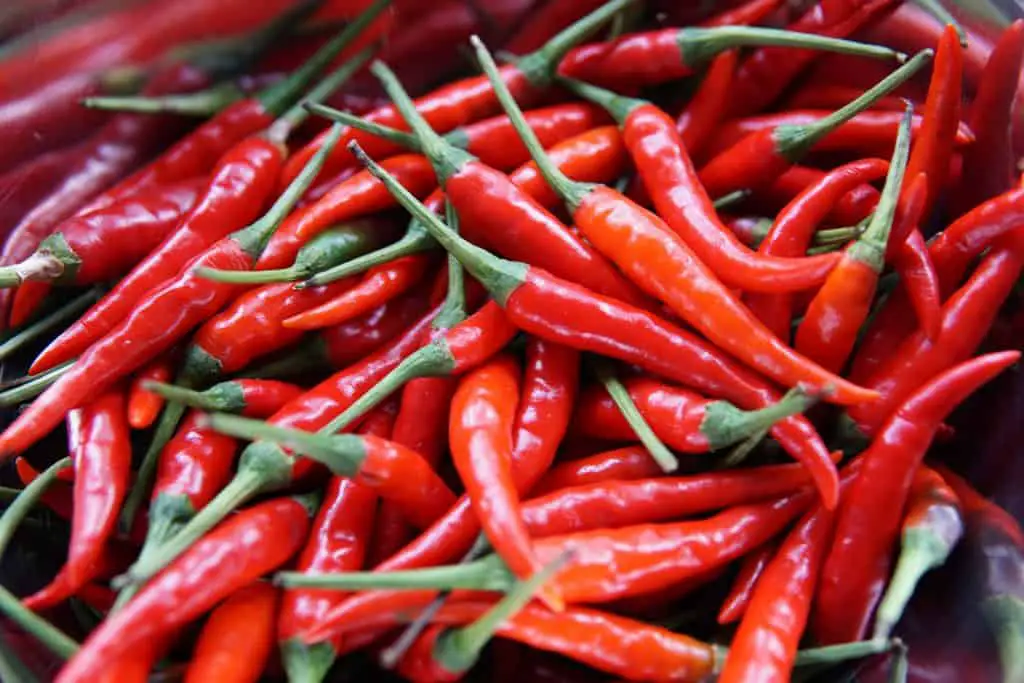 Using Capsaicin for Weight Loss Does It Work? Keto Lifehacker