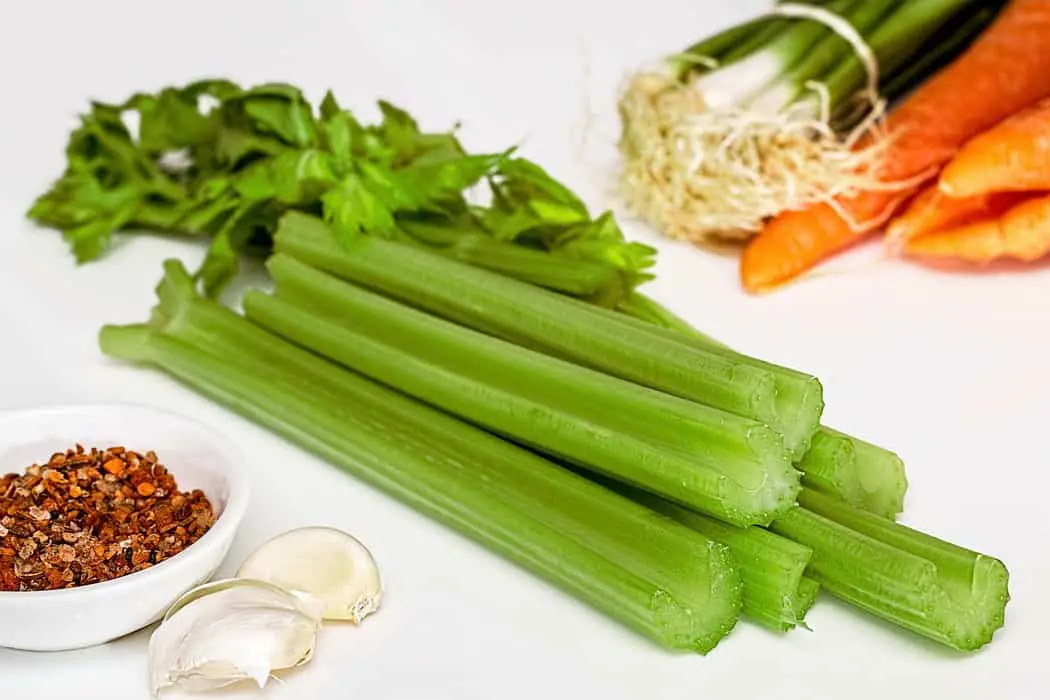 can i have celery on keto diet