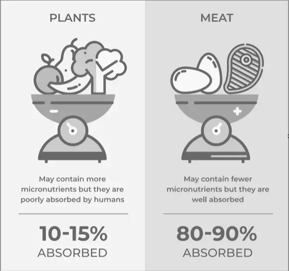 veggies vs meats keto answers